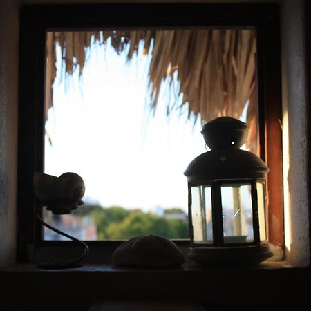 Amaranto Bed And Breakfast Cozumel Exteriör bild