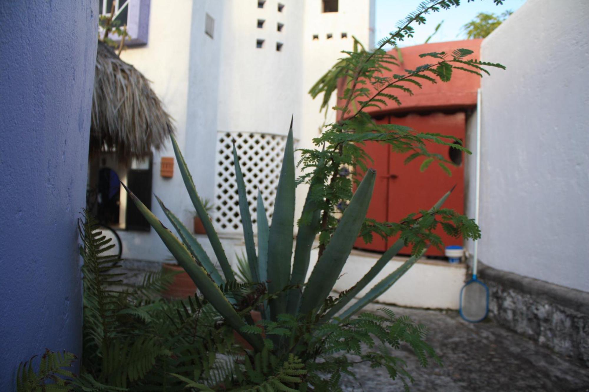 Amaranto Bed And Breakfast Cozumel Exteriör bild