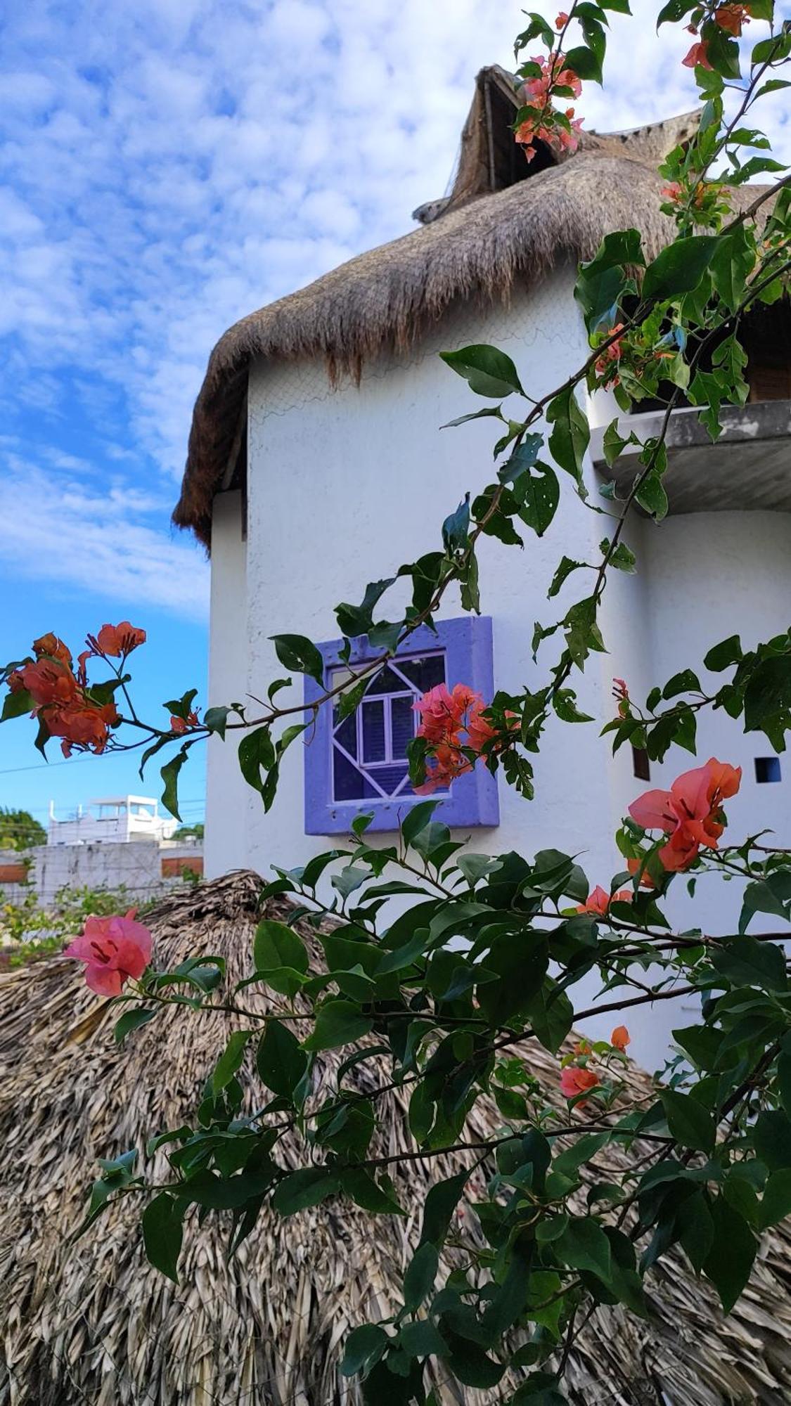 Amaranto Bed And Breakfast Cozumel Exteriör bild