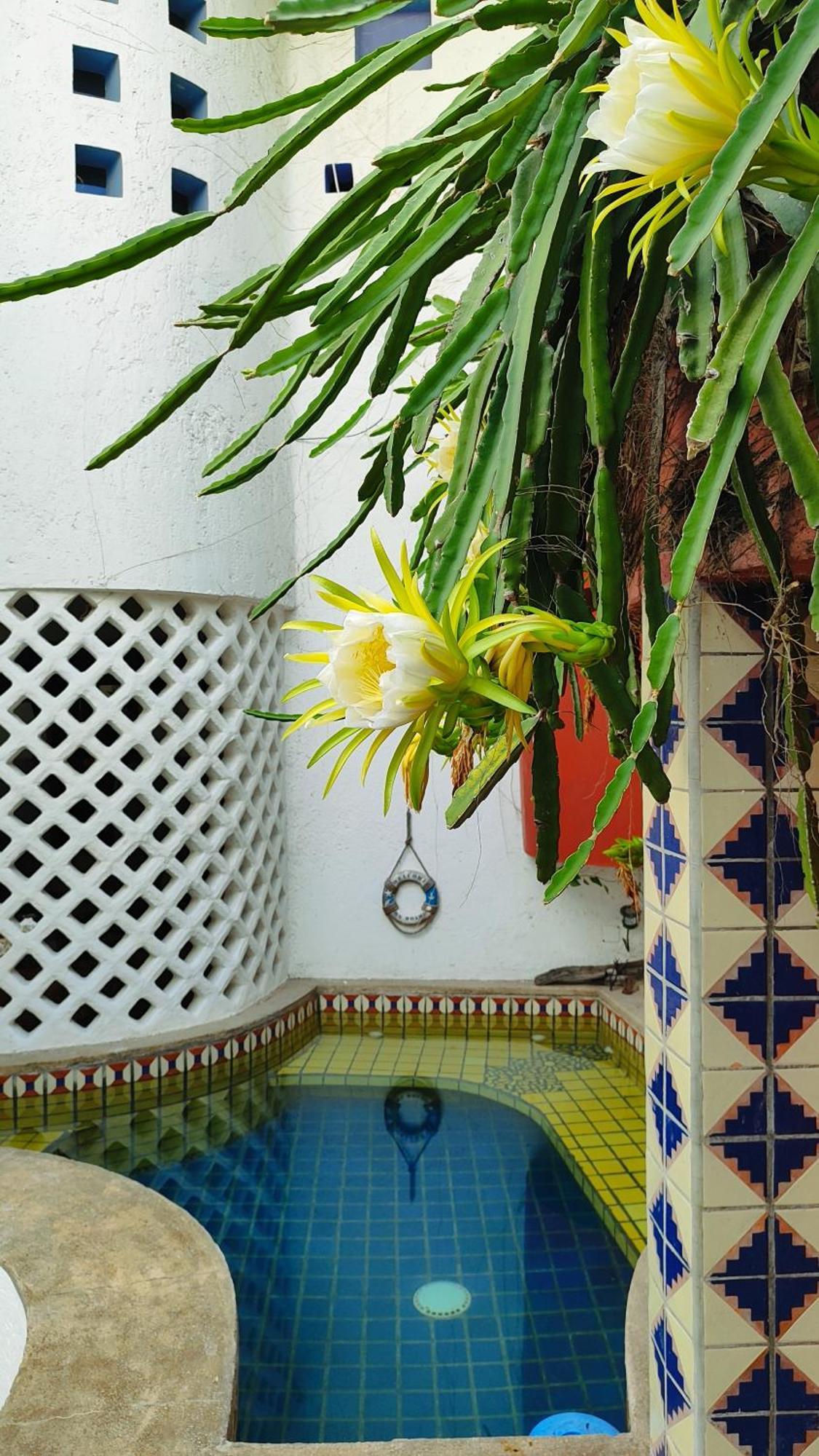 Amaranto Bed And Breakfast Cozumel Exteriör bild