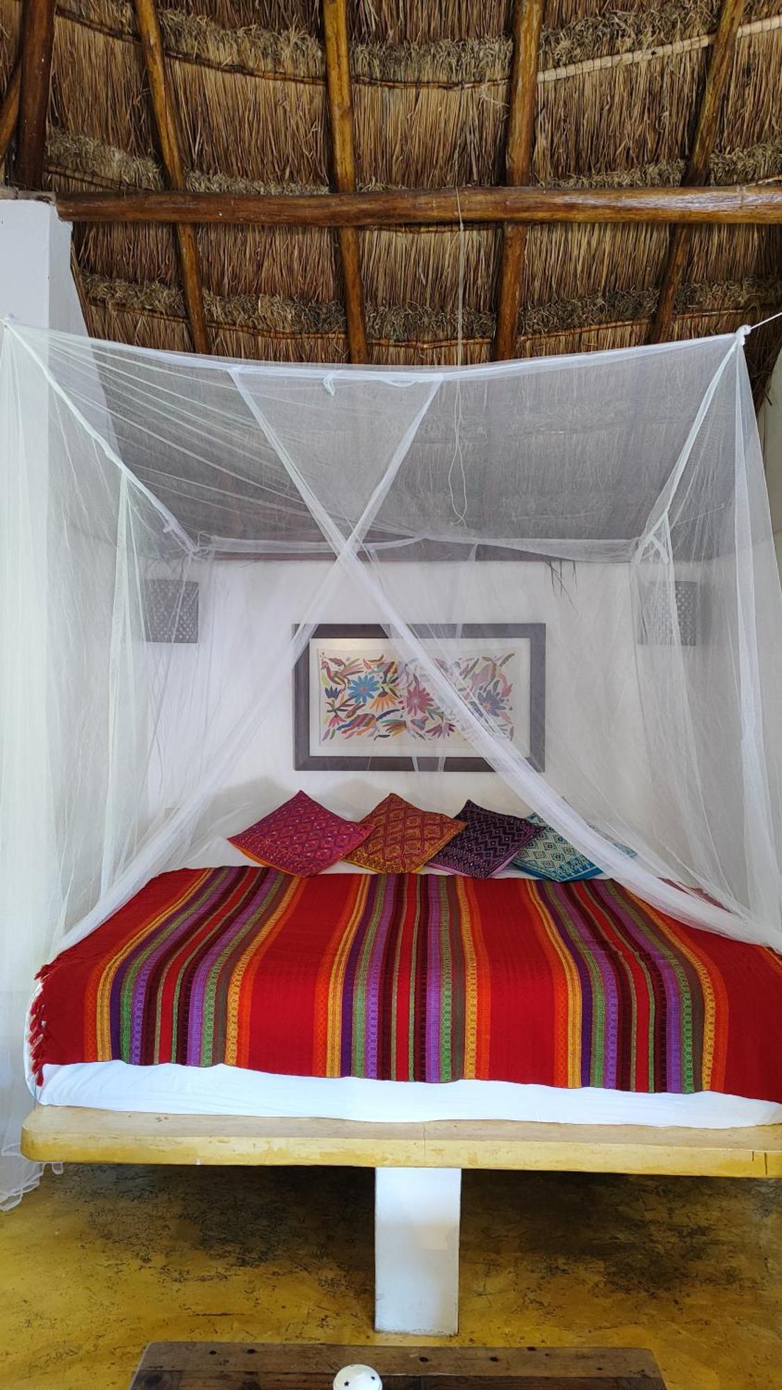 Amaranto Bed And Breakfast Cozumel Exteriör bild